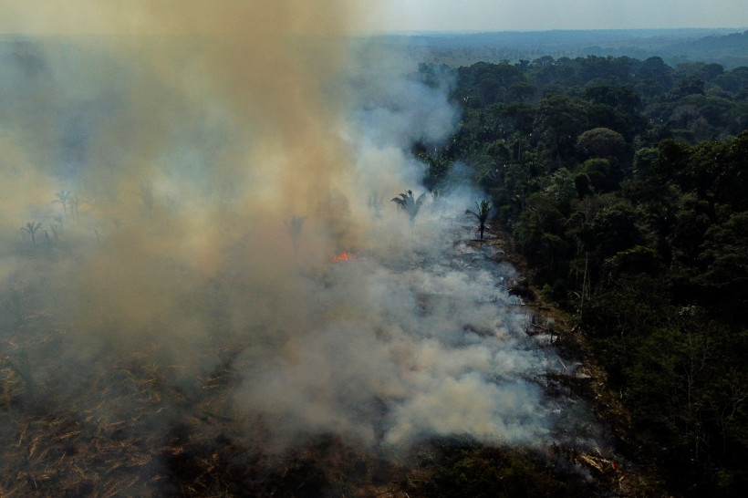 queimadas Amazônia