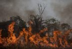 queimadas Amazônia 2023