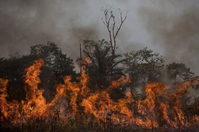 queimadas Amazônia 2023
