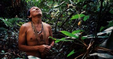 Acre indígenas reflorestamento