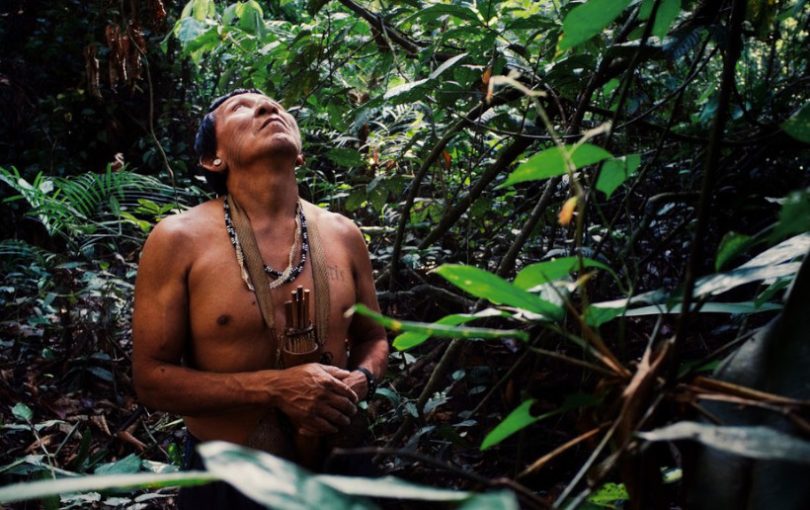 Acre indígenas reflorestamento