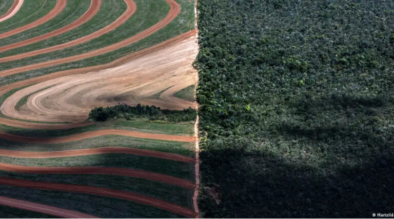 Cerrado desmatamento aumenta 2