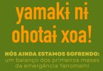 Crise Yanomami relatório