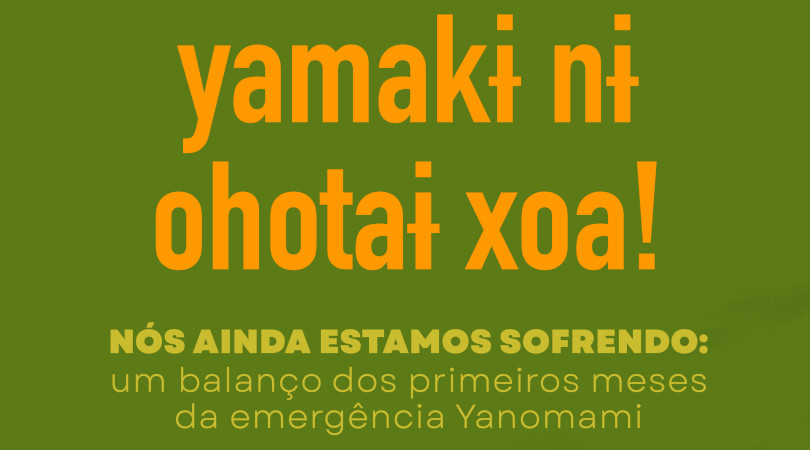 Crise Yanomami relatório