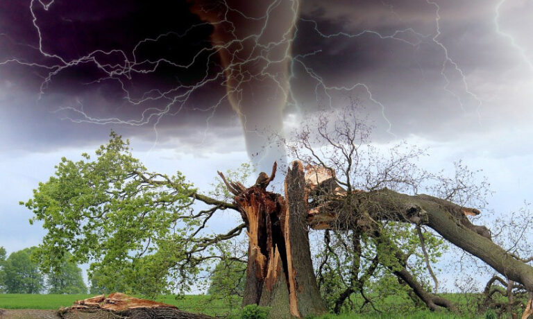 Crise climática custos