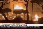 Havai incêndios florestais mortos