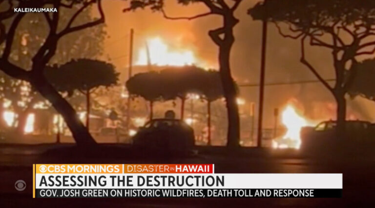 Havai incêndios florestais mortos