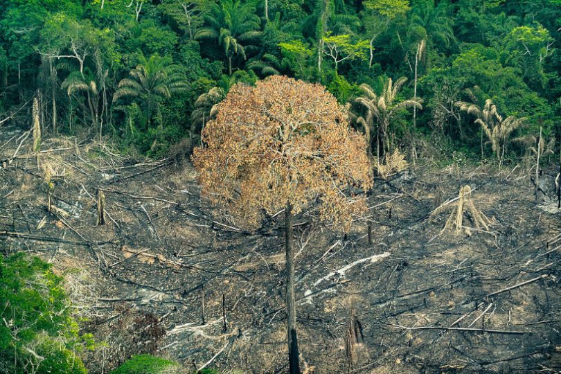 Pan-Amazônia desmatamento zero
