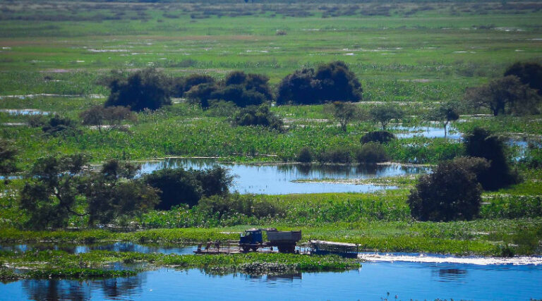 Pantanal desmatamento