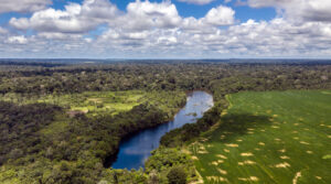 agronegócio Amazônia