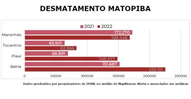 desmatamento MATOPIBA 2022