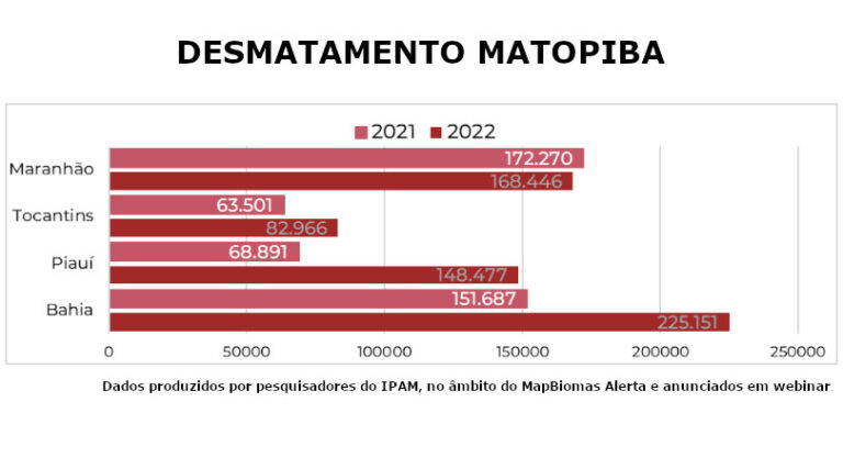 desmatamento MATOPIBA 2022
