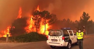 incêndios florestais Espanha Canadá