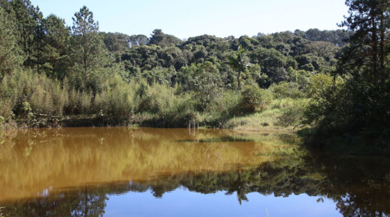 Amazônia menos superfíicie água