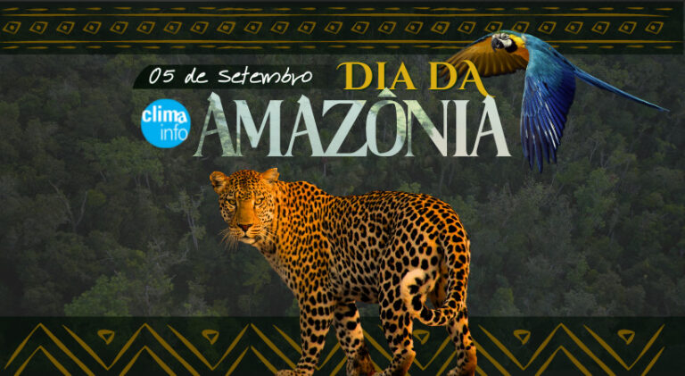 Dia da Amazônia
