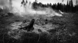 Grécia incêndios florestais