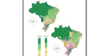 MapBiomas Uso da Terra desmatamento