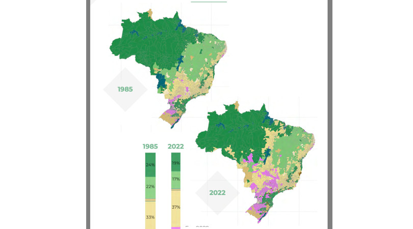 MapBiomas Uso da Terra desmatamento