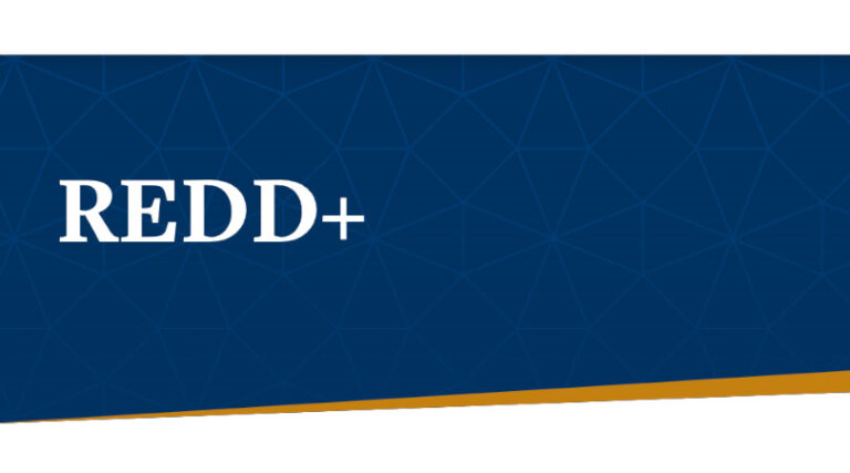 créditos carbono Amazônia florestas tropicais