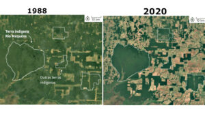 desmatamento em volta TIs