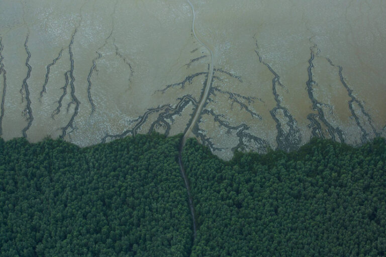foz do Amazonas