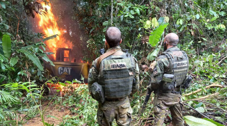 garimpo ilegal prejuízos