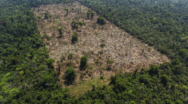incentivos fiscais Amazônia
