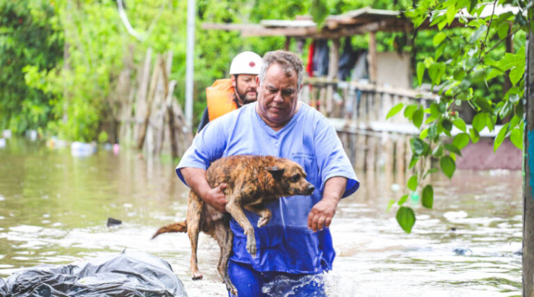 chuvas históricas Porto Alegre