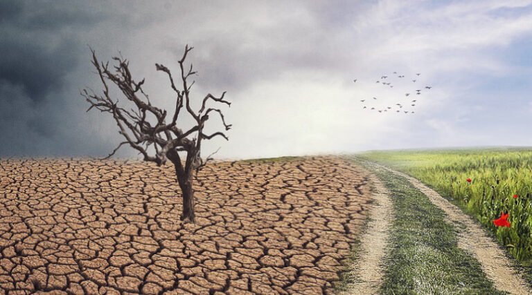 limites planetários