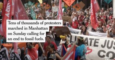 marcha antifóssil NY
