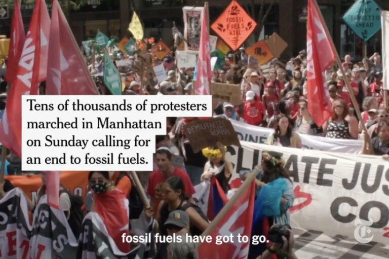 marcha antifóssil NY