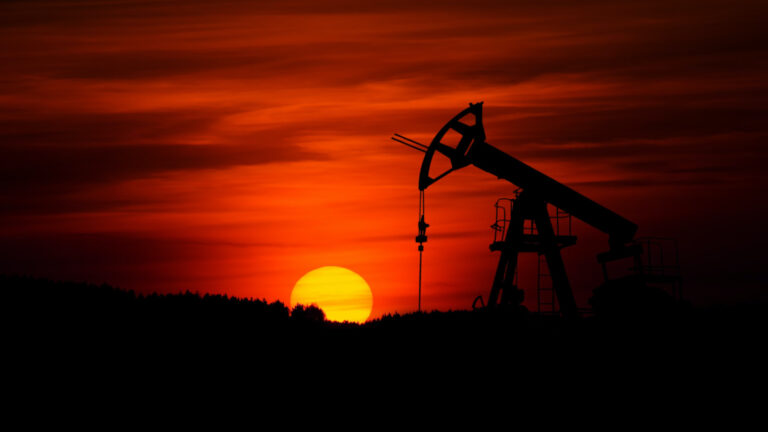 petroleiras nome aos bois 2