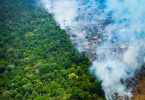 queimadas Amazônia diminuem