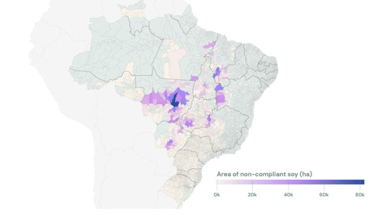 soja Amazônia Cerrado