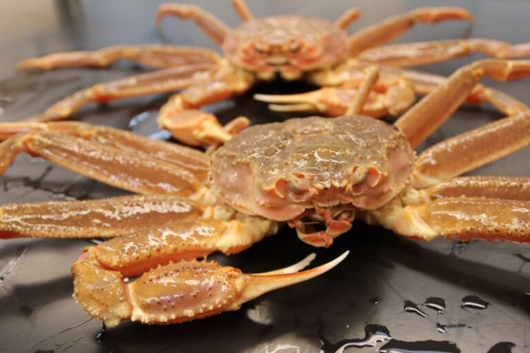 Alasca morte carangueijos