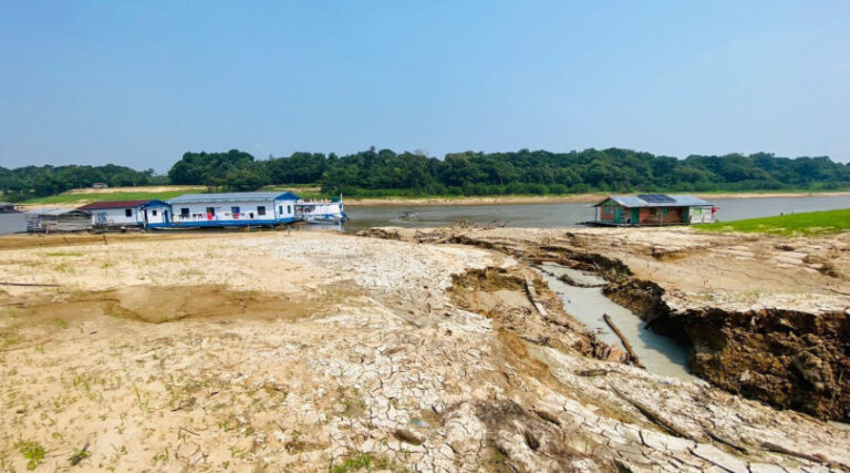 Amazônia adaptação climática