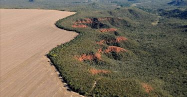 Amazônia desmatamento pastagem