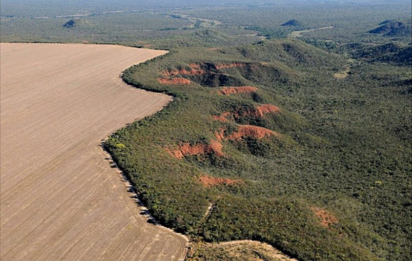 Amazônia desmatamento pastagem