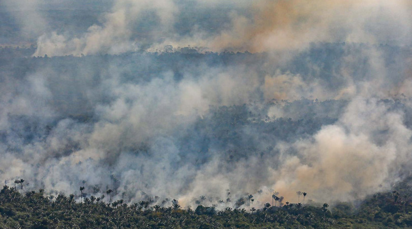 Amazônia incêndios florestais