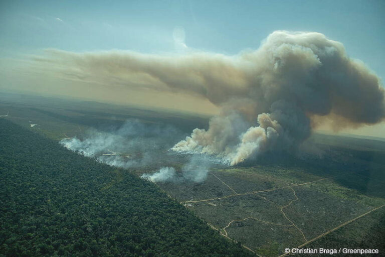 Brasil desmatamento NDC