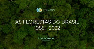 Brasil florestas naturais