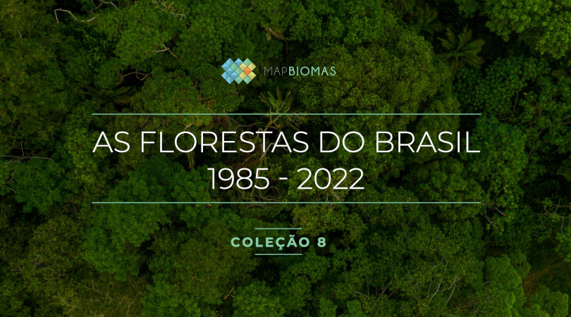 Brasil florestas naturais