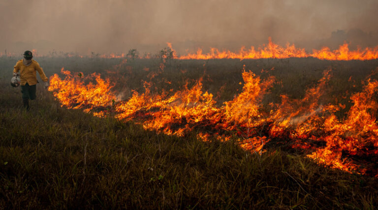 brigadistas Amazonas