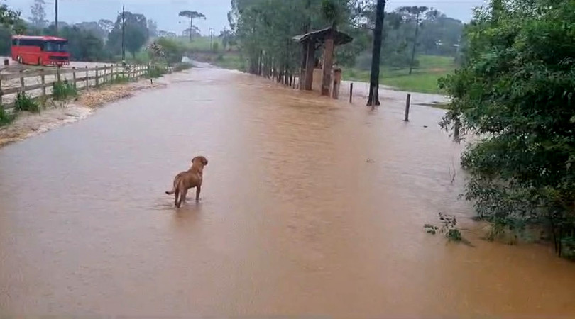 chuvas Paraná
