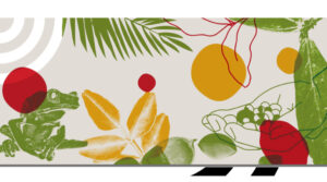 produtos biodiversidade