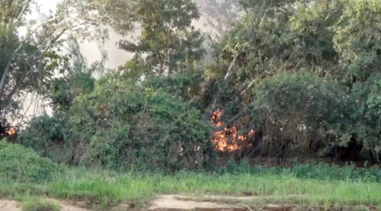 queimadas Amazônia Pantanal