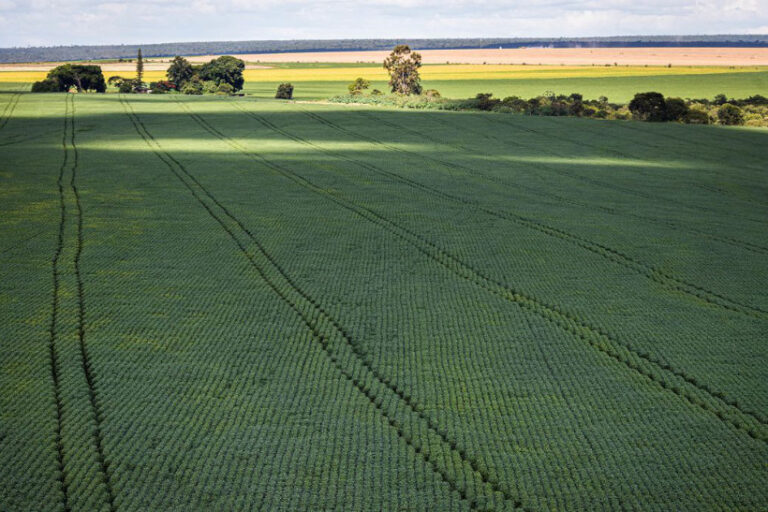Brasil mudança do clima safras