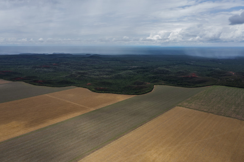 Cerrado desmatamento PRODES