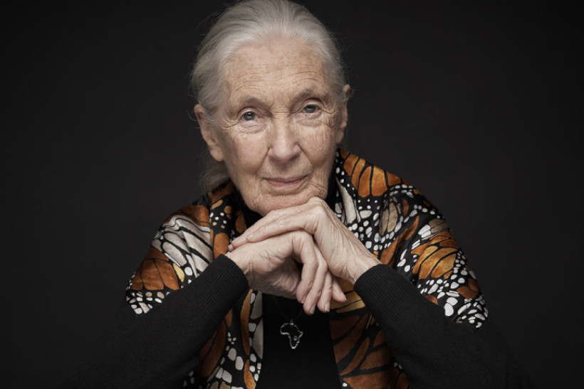 Jane Goddall