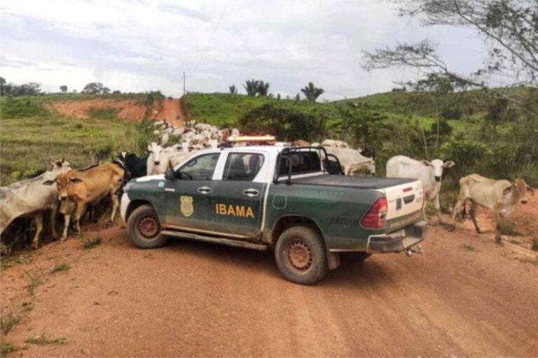 STF AGU multas IBAMA